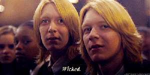 tumblr_n10wr2medj1t3hlp6o1_500-1